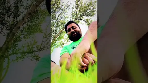 Sutay Rehn De Panchi (Cover)